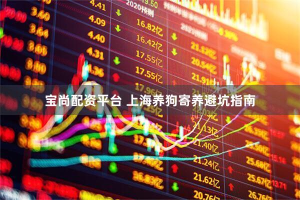 宝尚配资平台 上海养狗寄养避坑指南